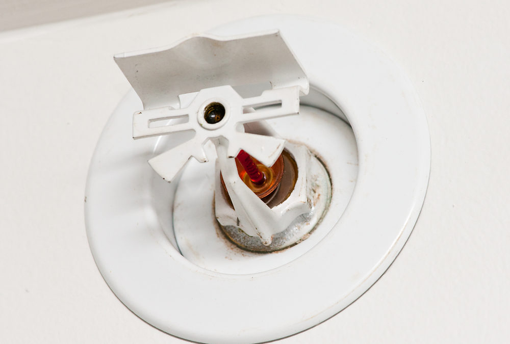 How Does a Fire Sprinkler System Work