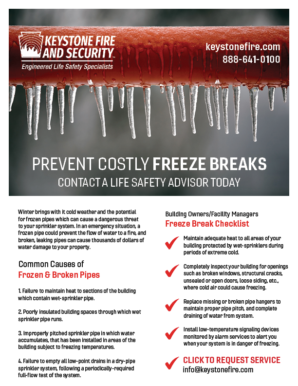 Freeze Break Flyer