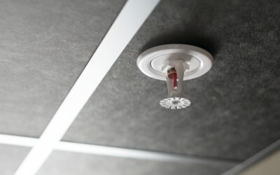 The Importance of Regular Fire Sprinkler Inspections: Protecting Your Property and People